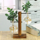 Suporte para Vasos Globo Tioeasy™ — Madeira Natural e Vidro, Decoração de Plantas 13,5cm e 19cm