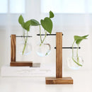 Suporte para Vasos Globo Tioeasy™ — Madeira Natural e Vidro, Decoração de Plantas 13,5cm e 19cm