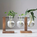 Suporte para Vasos Globo Tioeasy™ — Madeira Natural e Vidro, Decoração de Plantas 13,5cm e 19cm