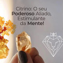 Árvore da Fortuna com Pedra Citrino - Tio Juanico