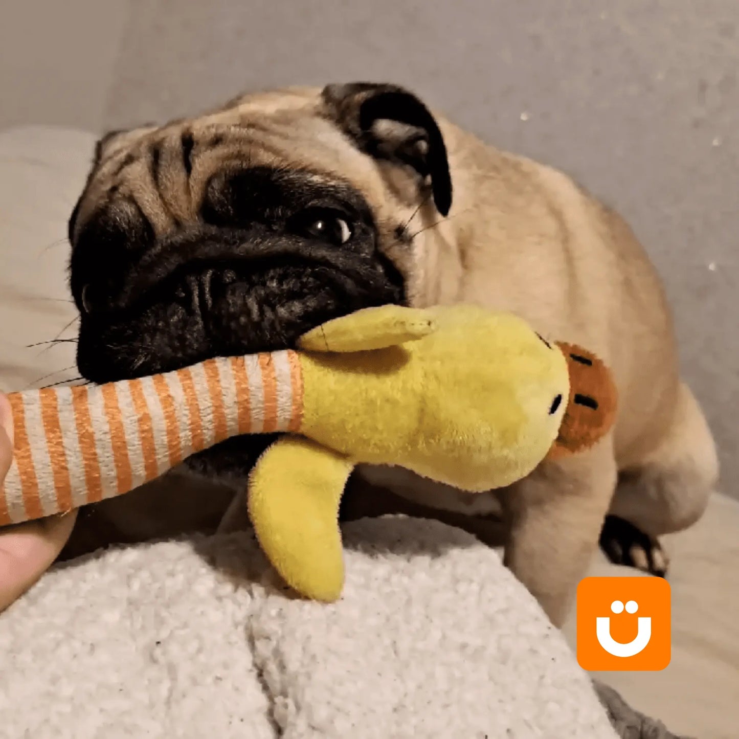 Brinquedo de Pelúcia para Cachorros Tioeasy™ - Hipoalergênico