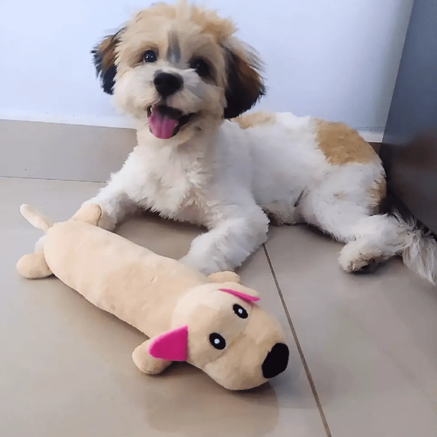 Brinquedo de Pelúcia para Cachorros Tioeasy™ - Hipoalergênico