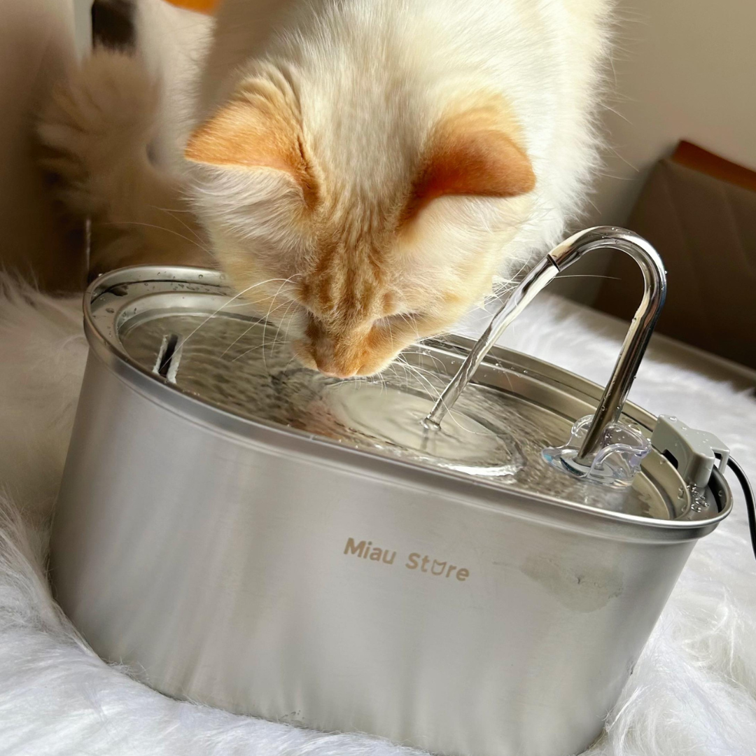 Bebedouro Pet Inox Flow Filtro potente bactericida e inteligente Tio Juanico