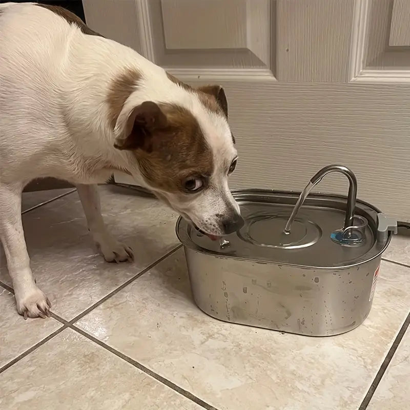Bebedouro Pet Inox Flow Filtro potente bactericida e inteligente Tio Juanico