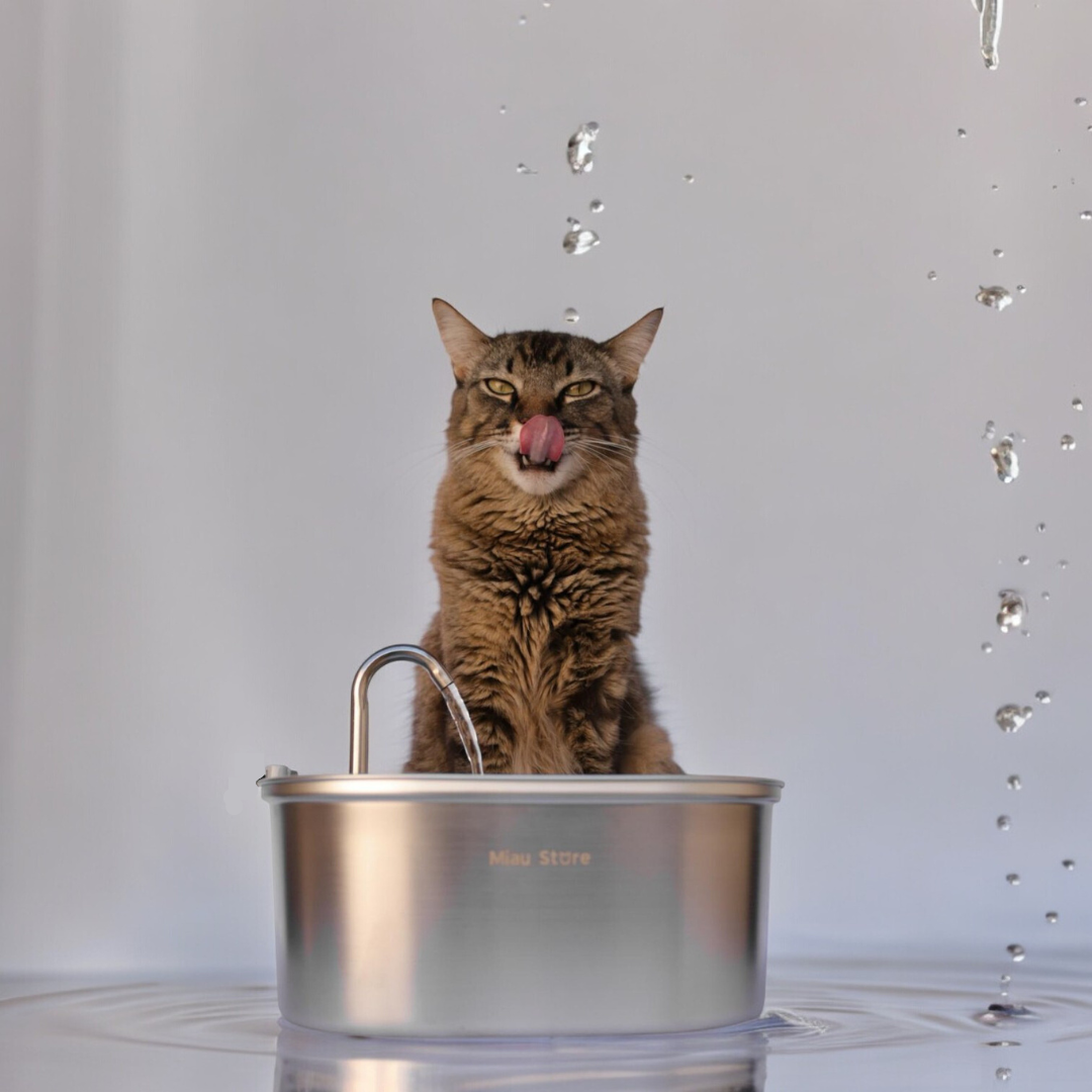 Bebedouro Pet Inox Flow™ — Inox 2L com Filtragem e Fluxo Contínuo Silencioso