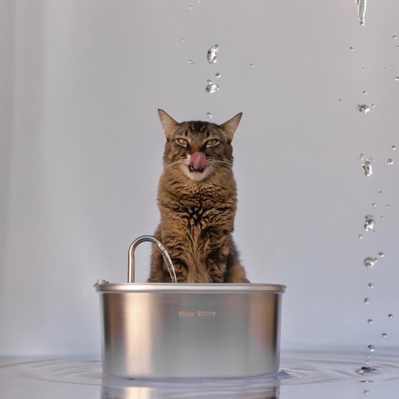 Bebedouro Pet Inox Flow™ — Inox 2L com Filtragem e Fluxo Contínuo Silencioso