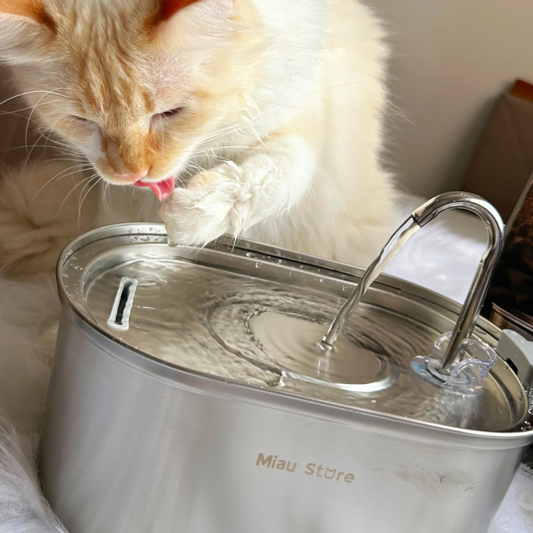 Bebedouro Pet Inox Flow™ — Inox 2L com Filtragem e Fluxo Contínuo Silencioso