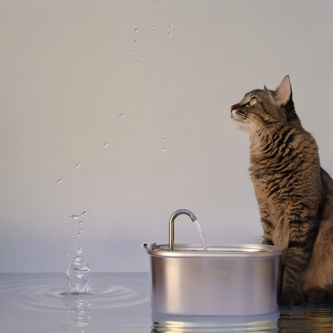 Bebedouro Pet Inox Flow™ — Inox 2L com Filtragem e Fluxo Contínuo Silencioso