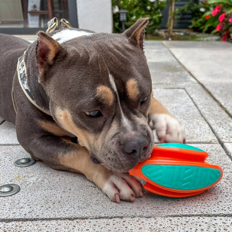 Brinquedo Bola de Rugby Pet Tioeasy™ com Apito, Borracha Premium 3D, Resistente e Massageadora para Cães