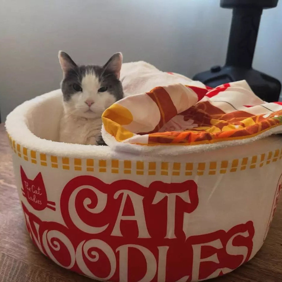 Caminha e Tapetinho Cat Noodles Tioeasy™ - 2 em 1 Tio Juanico