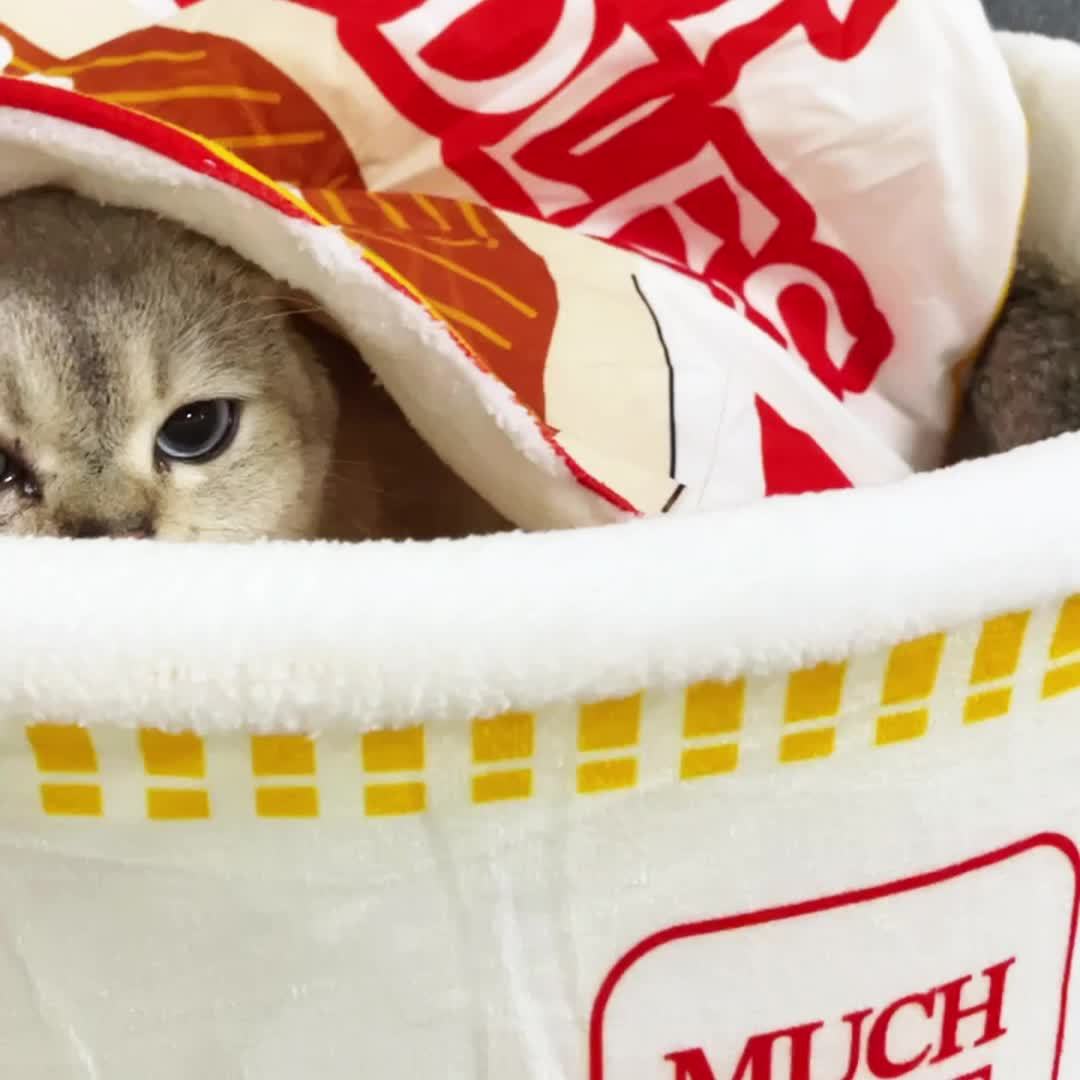 Caminha e Tapetinho Cat Noodles Tioeasy™ - 2 em 1 Tio Juanico