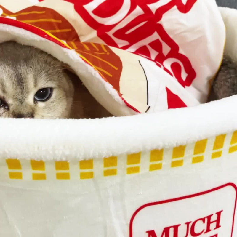 Caminha e Tapetinho Cat Noodles Tioeasy™ - 2 em 1 Tio Juanico