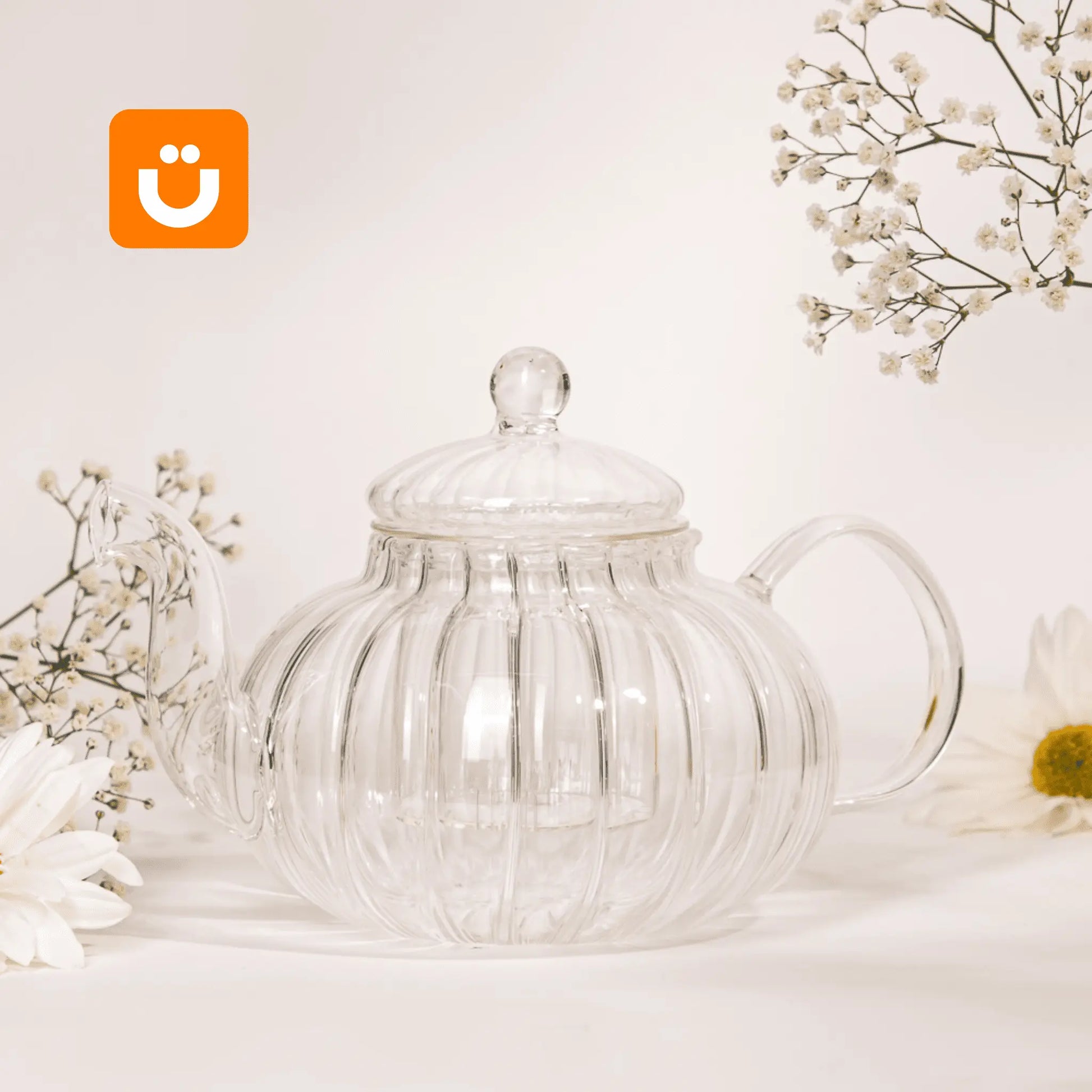 Chaleira de Vidro Classic Tioeasy™ - Tio Juanico