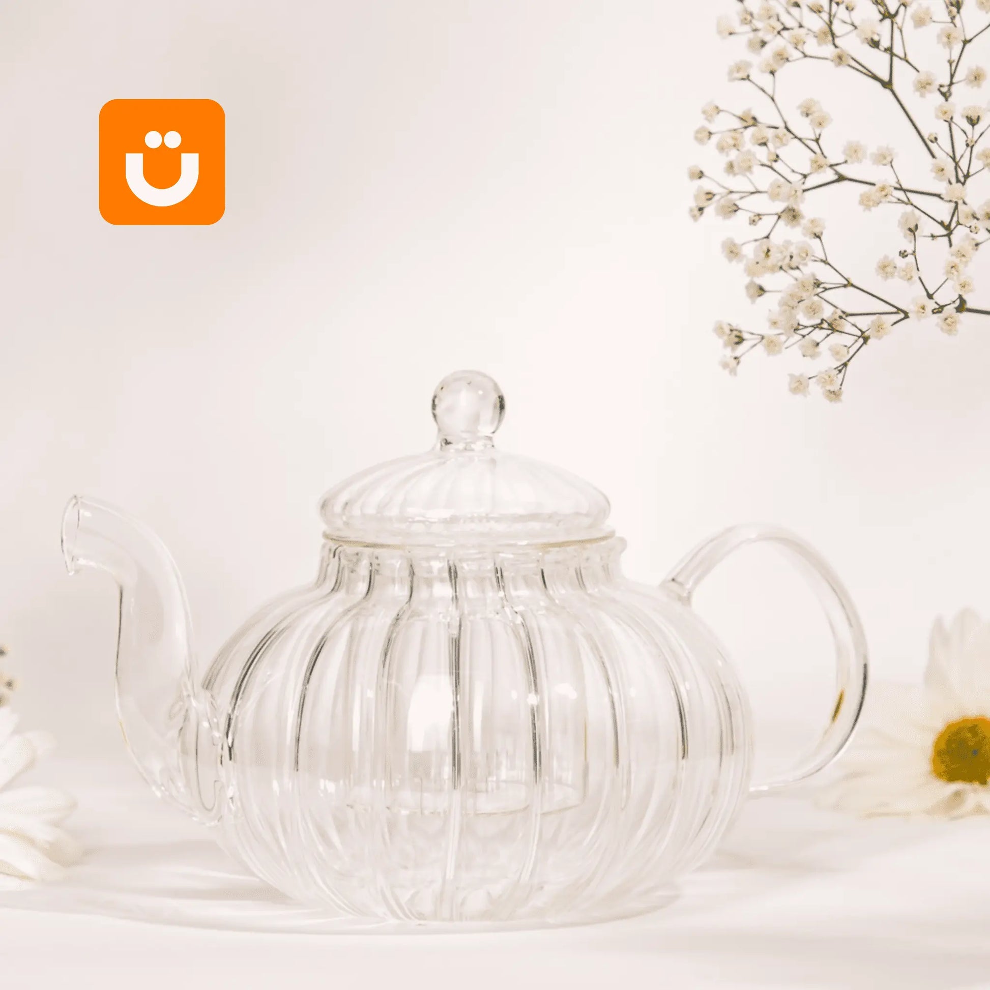 Chaleira de Vidro Classic Tioeasy™ - Tio Juanico