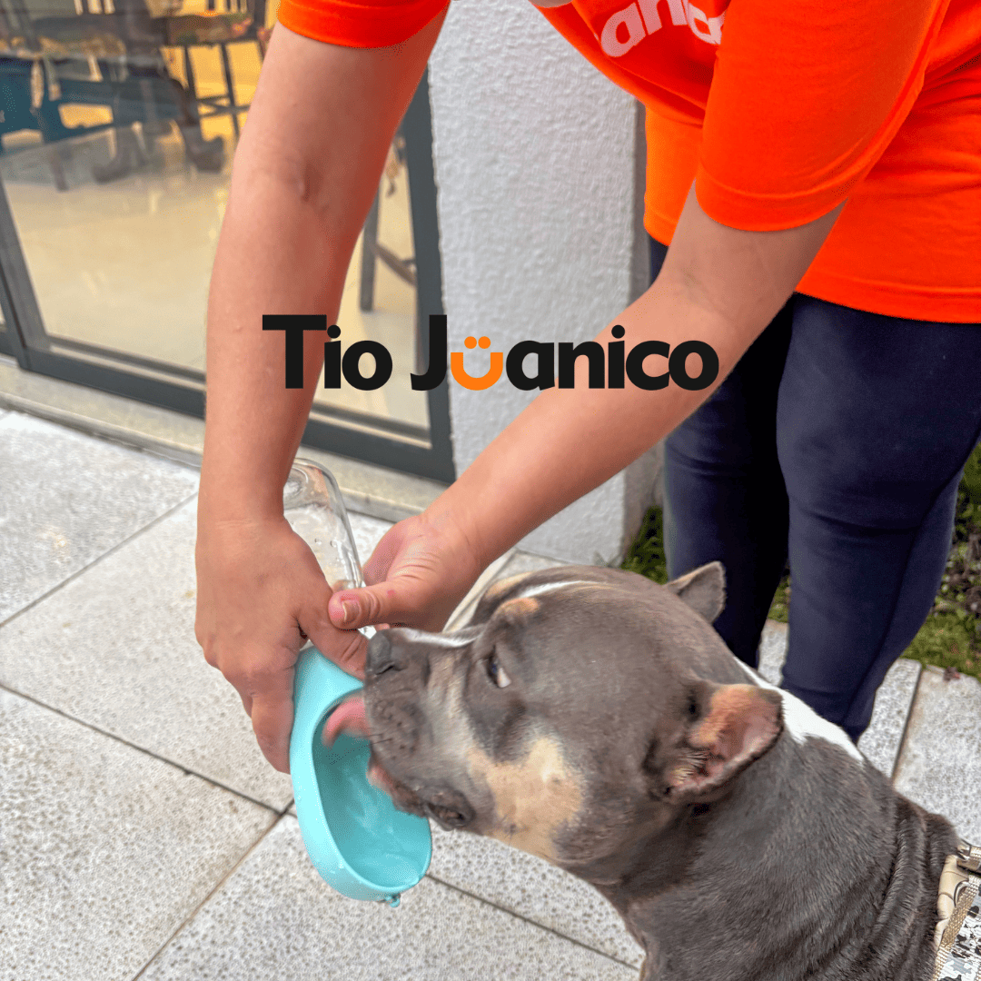 Garrafa Portátil Bebedog Tioeasy™ para Pets com Trava Antivazamento e Copo Embutido 550ml