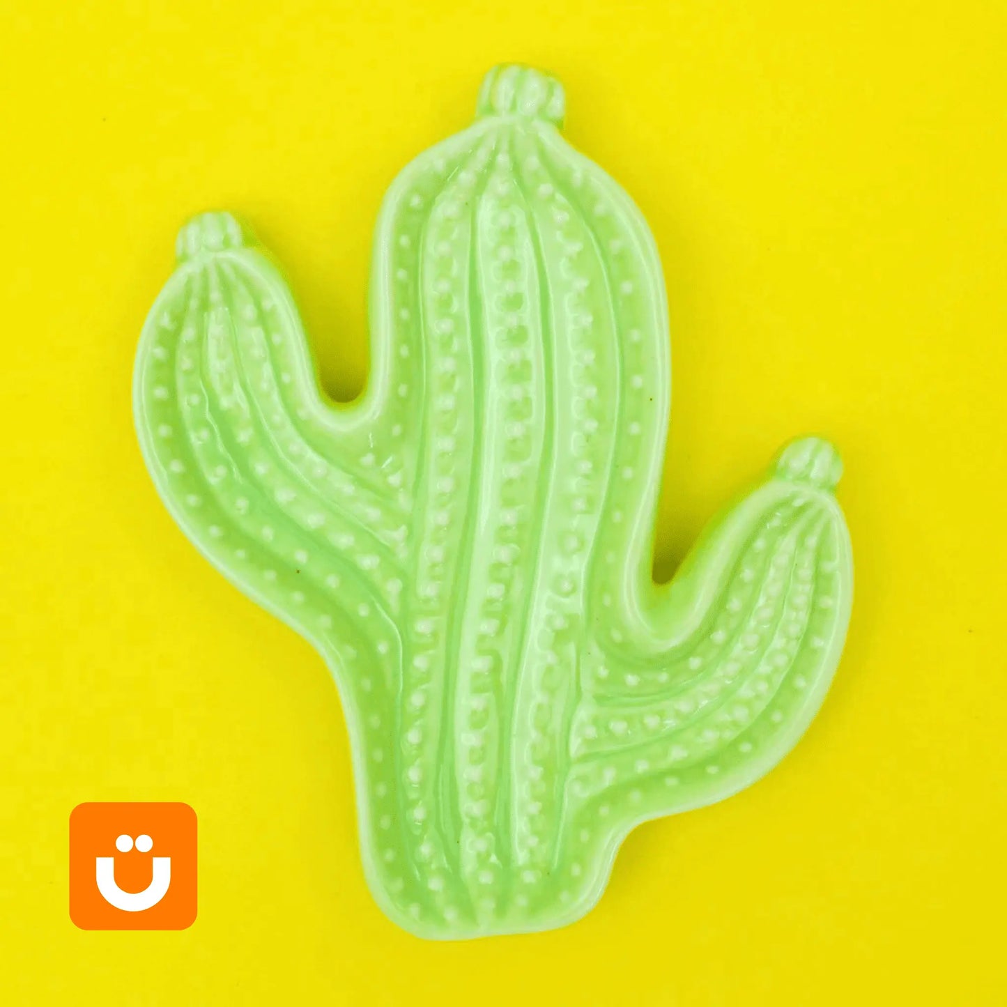 Prato Decorativo Tioeasy™ – Suculenta