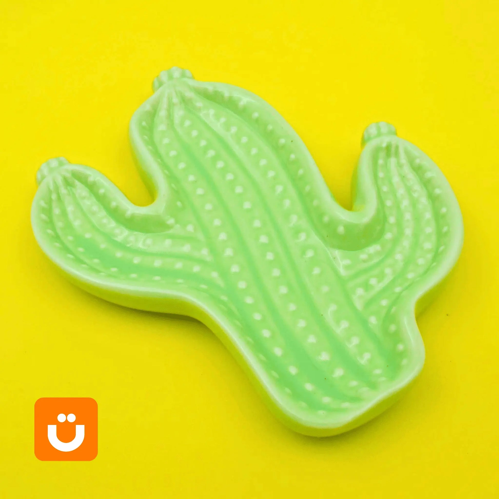 Prato Decorativo Tioeasy™ – Suculenta