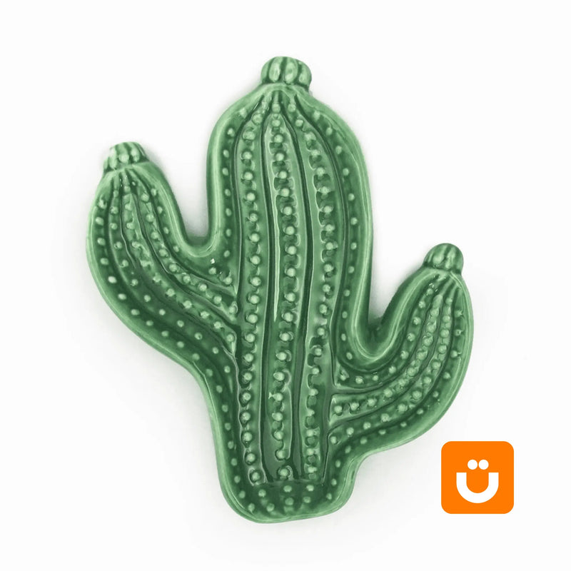  Prato Decorativo Tioeasy™ – Suculenta
