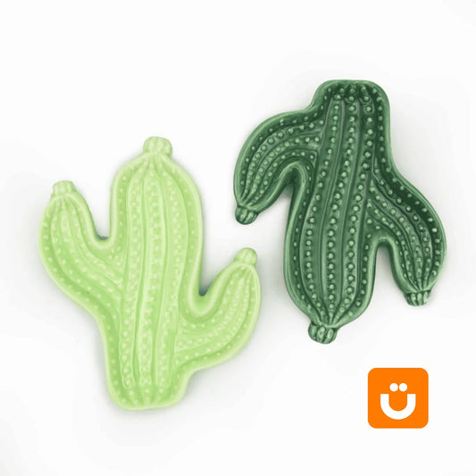 Prato Decorativo de Cerâmica Tioeasy™ 14cm — Detalhe de Suculenta em Relevo 3D