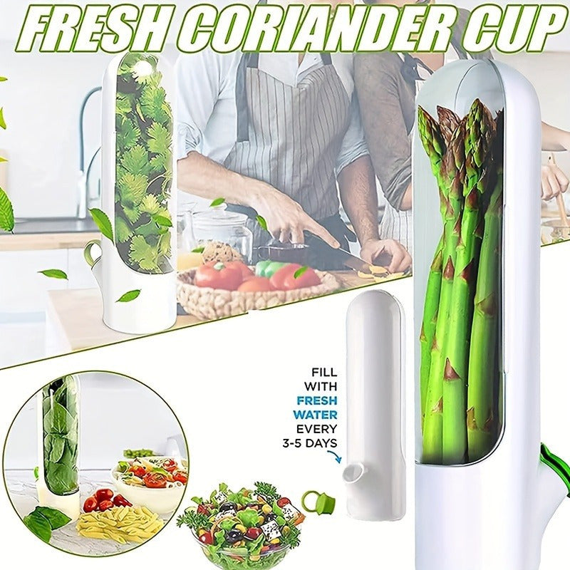 Vegetable Crisper, Herb Preservation, Vegetable Fresh Coriander Container, Suitable for Refrigerator Use, Keep Bottled Herbs Fresh, Mint Refrigerator Storage, Keep Green And Fresh for 2-3 Weeks, Refrigerator Kitchen Supplies