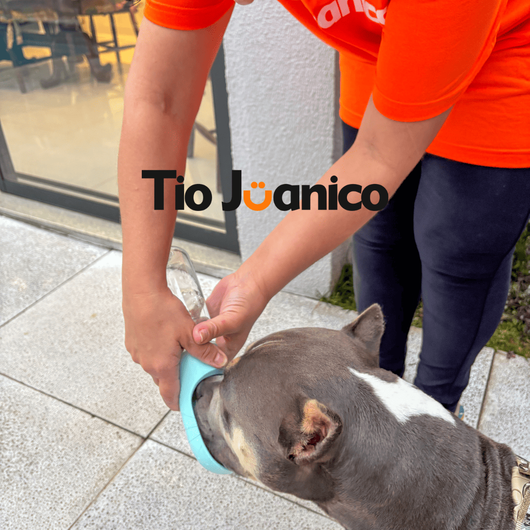 Garrafa Portátil Bebedog Tioeasy™ para Pets com Trava Antivazamento e Copo Embutido 550ml
