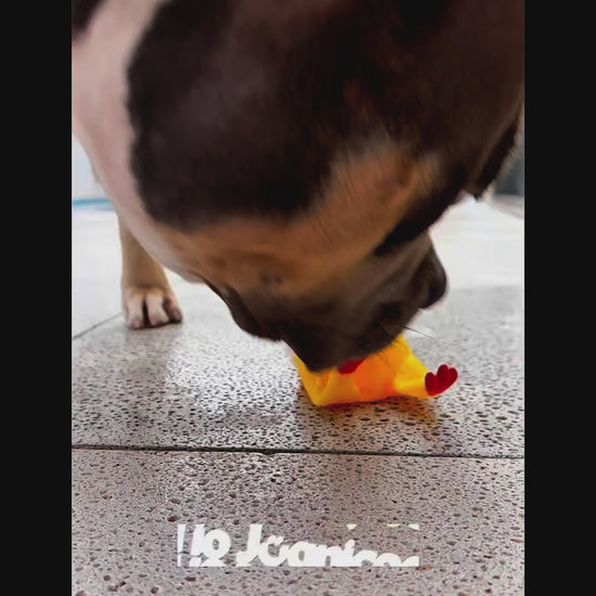 Brinquedo Frango de Borracha Pet Gritão Tioeasy™ com Som Alto, Resistente e Atóxico