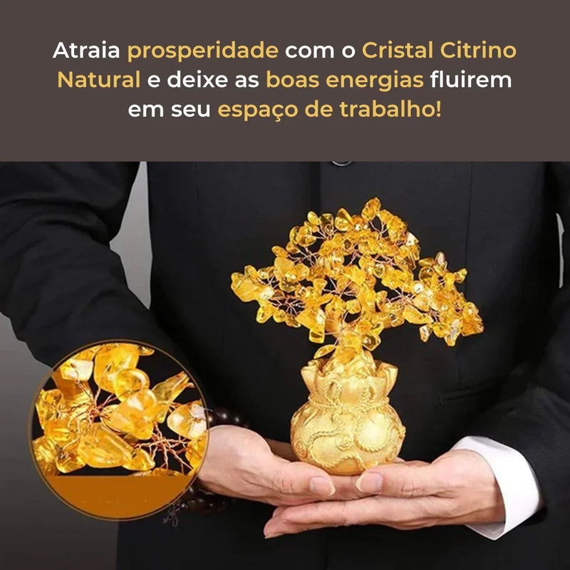 Árvore da Fortuna com Pedra Citrino - Tio Juanico
