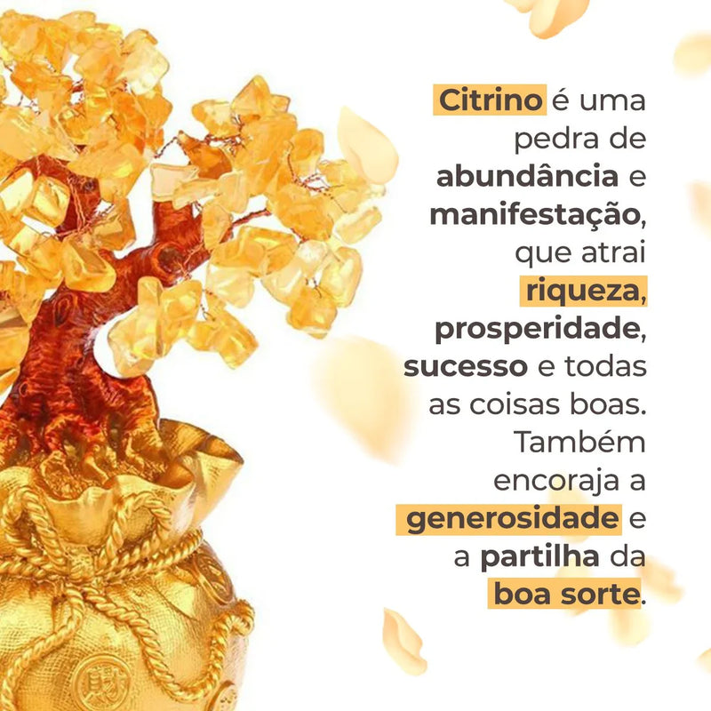 Árvore da Fortuna com Pedra Citrino - Tio Juanico