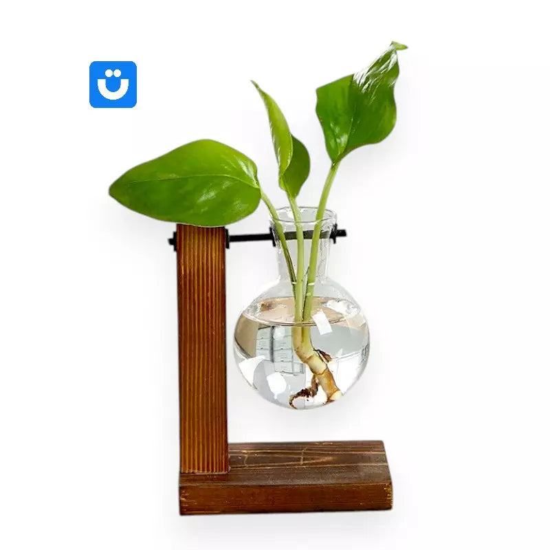 Suporte para Vasos Globo Tioeasy™ — Madeira Natural e Vidro, Decoração de Plantas 13,5cm e 19cm